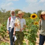 Egypt Countryside day tour - What to Expect from the Egypt Countryside Day Tour