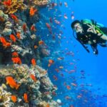 Eilat: Intro to Diving with Certified Instructor - Practical Details and Tips