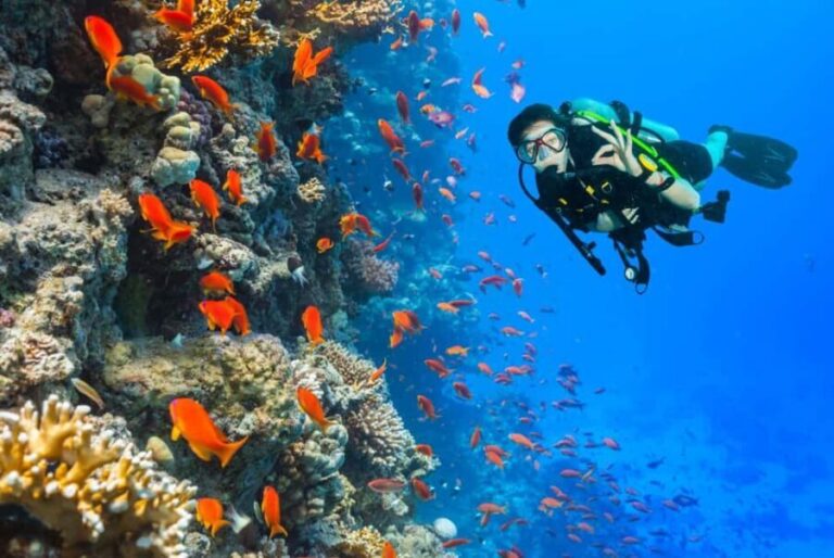 Eilat: Intro to Diving with Certified Instructor - Practical Details and Tips