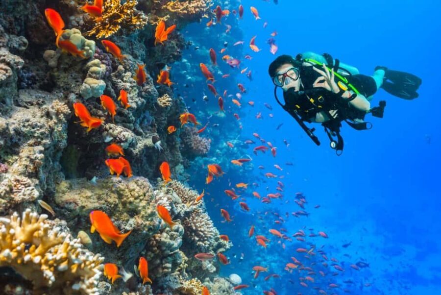 Eilat: Intro to Diving with Certified Instructor - Practical Details and Tips