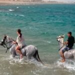 El Gouna: Desert & Sea Horse Riding With Swimming Optional - What Reviewers Are Saying