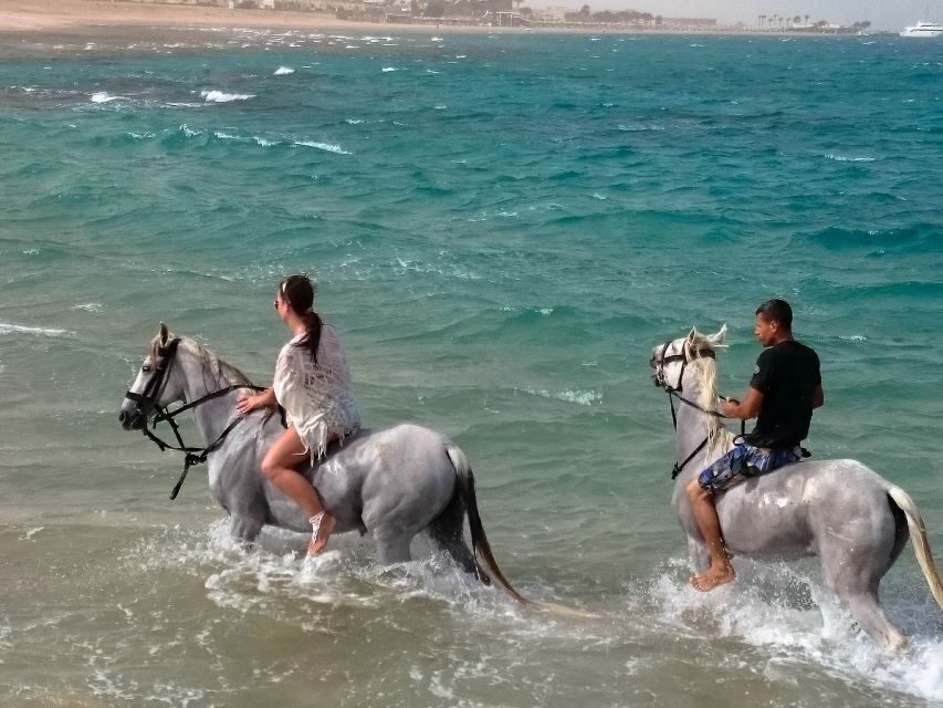 El Gouna: Desert & Sea Horse Riding With Swimming Optional - What Reviewers Are Saying
