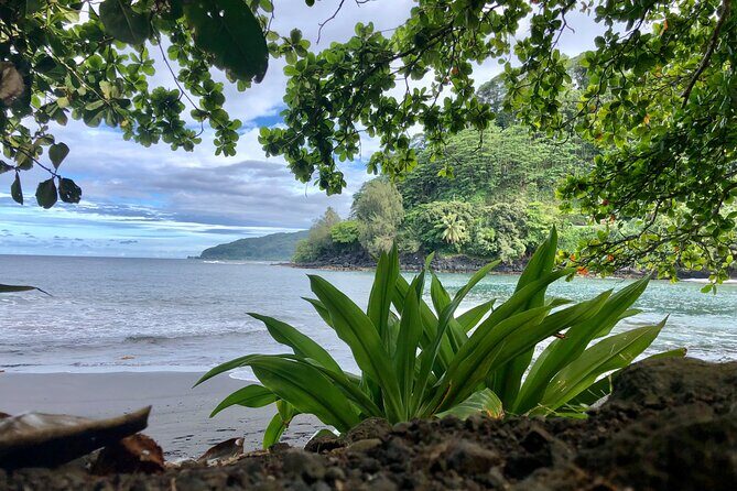 Electric Bike Rental Moorea - Is This Tour Worth It?