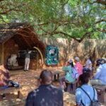Elephant & Monkey Santuary with Lion Park Tour - Value and Pricing