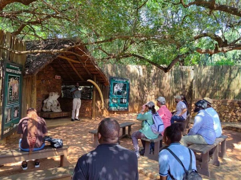 Elephant & Monkey Santuary with Lion Park Tour - Value and Pricing