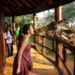 Elephant Orphanage,Giraffe Center&Karen Blixen Meseum Tour - Final Thoughts
