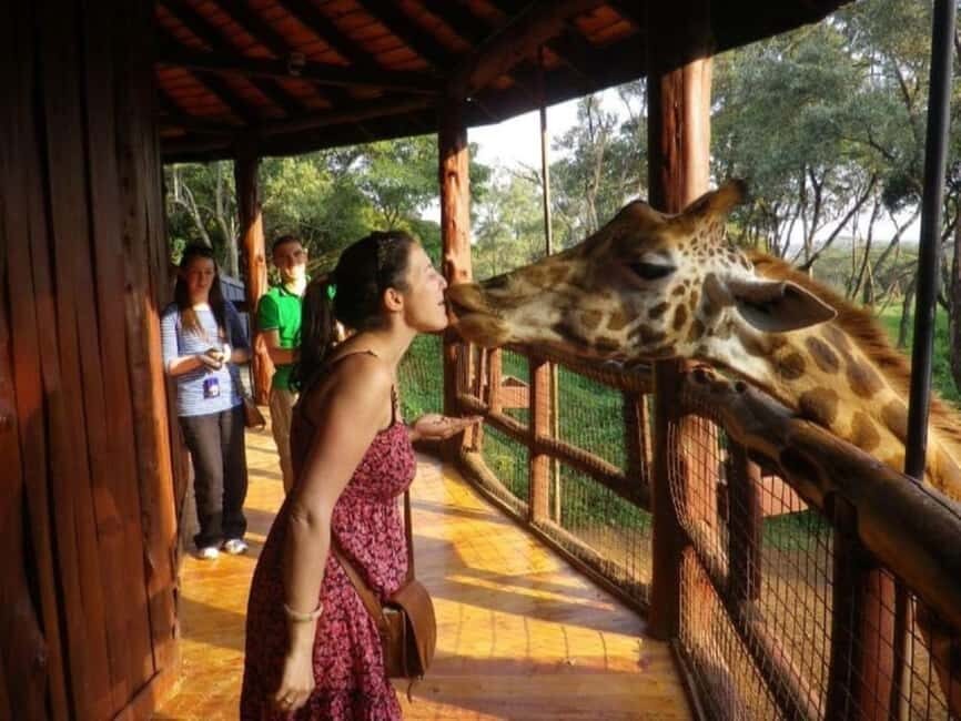 Elephant Orphanage,Giraffe Center&Karen Blixen Meseum Tour - Final Thoughts