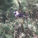 EMBU :CAMP NDUNDA FALLS DAY TRIP WITH LUNCH - What Reviewers Love About Camp Ndunda