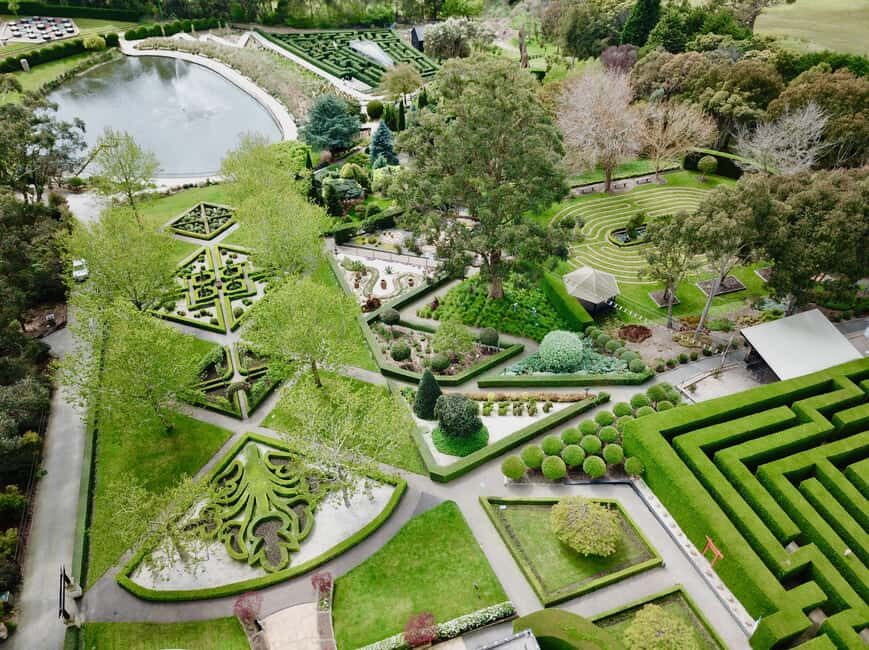 Enchanted Adventure Admission with Lunch - Lunch at Green Olive at Red Hill: A Gourmet Break