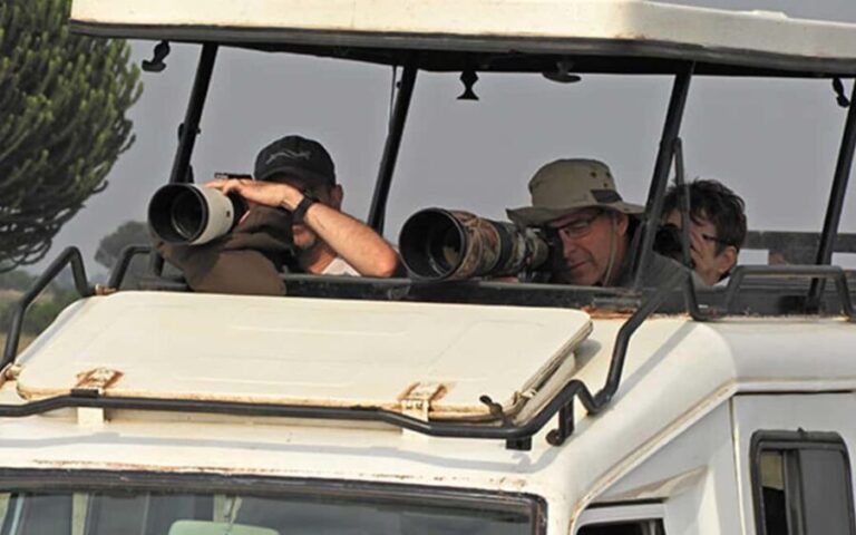 Entebbe: 9-Day Uganda Gorilla Trekking & Tanzania Safari - Itinerary Breakdown and Highlights