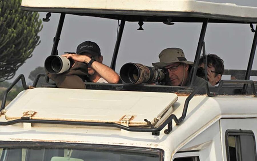 Entebbe: 9-Day Uganda Gorilla Trekking & Tanzania Safari - Itinerary Breakdown and Highlights