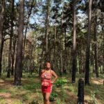 Enugu: City Tour with Ngwo Pine Forest and Waterfall - Practical Details and What to Expect