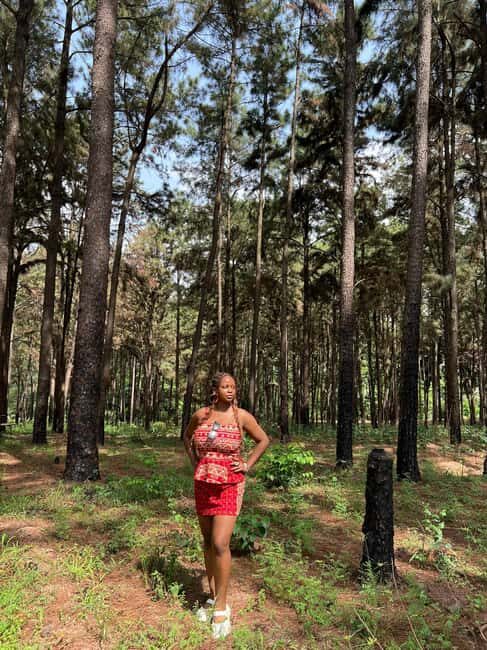Enugu: City Tour with Ngwo Pine Forest and Waterfall - Practical Details and What to Expect