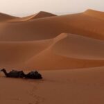 Erg Chegaga Desert Adventure: Magical 2 Days from M'hamid - What’s Included and What’s Not