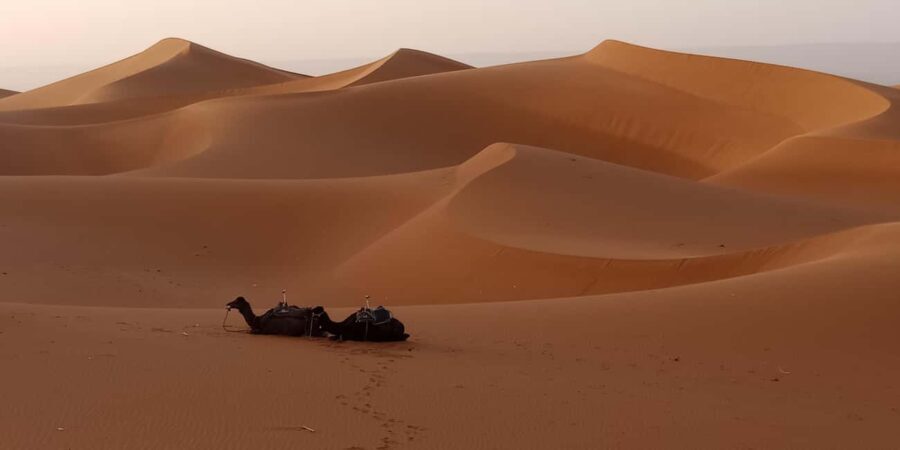 Erg Chegaga Desert Adventure: Magical 2 Days from M'hamid - What’s Included and What’s Not