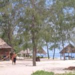 Escape to Paradise A day of sun, sand and adventure Mbudya - Whats Included and Whats Not