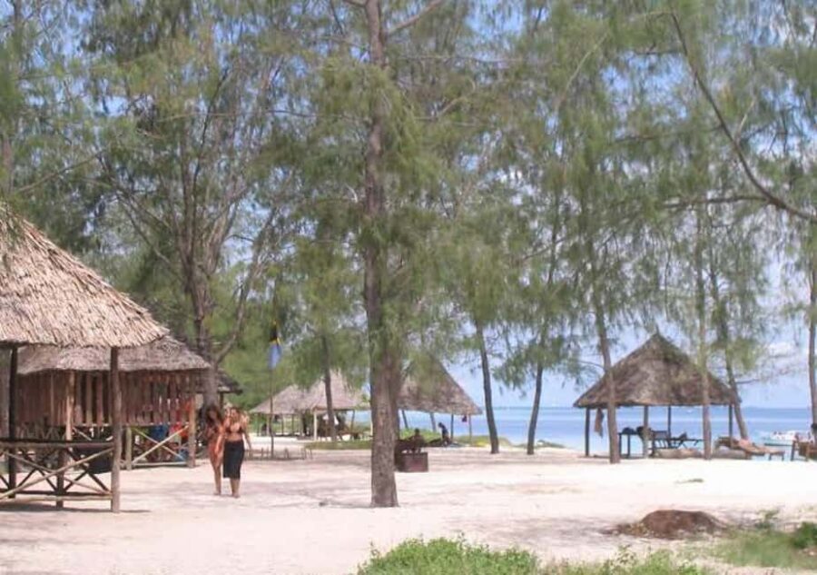 Escape to Paradise A day of sun, sand and adventure Mbudya - Whats Included and Whats Not