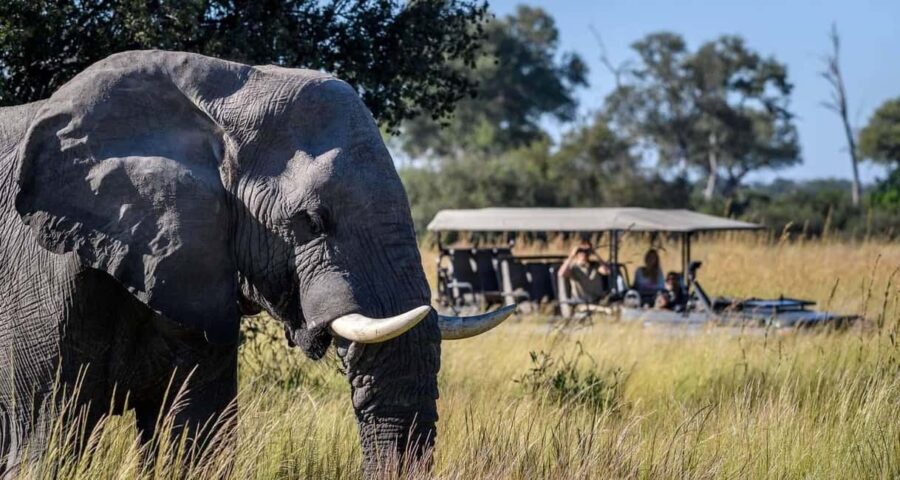 Escape to Tranquility: Zambezi River in 6 Days - What’s Included and What’s Not