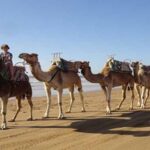 Essaouira: 2-Hour Camel Ride - The Value of the Experience