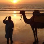 Essaouira: 3-Hour Dromedary Ride and Berber Tent Overnight - Practical Details and Value