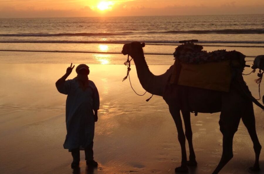 Essaouira: 3-Hour Dromedary Ride and Berber Tent Overnight - Practical Details and Value