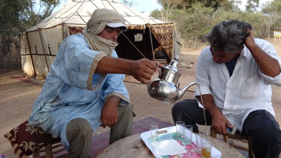 Essaouira: 3-Hour Horse Ride and Berber Tent Overnight - Who Will Love This Tour?