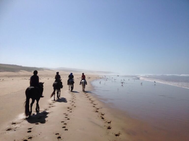 Essaouira: 3-Hour Horseback Ride - What’s Included and What You Should Plan For