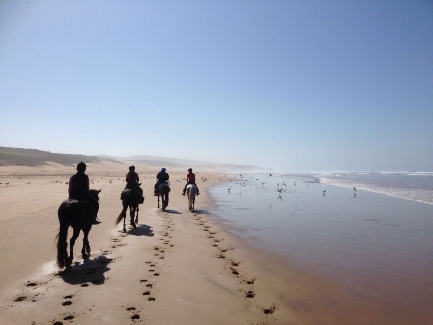 Essaouira: 3-Hour Horseback Ride - What’s Included and What You Should Plan For