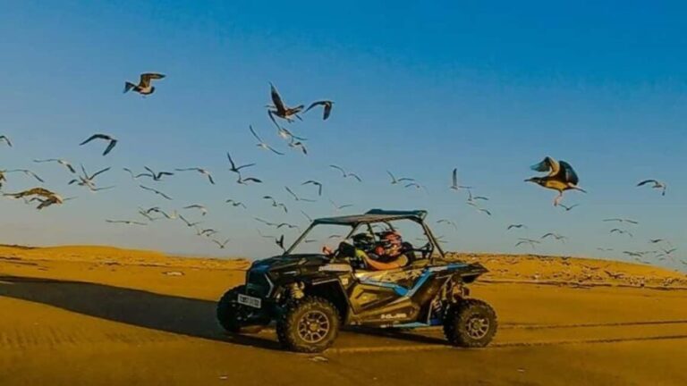 Essaouira: buggy Tour with Tea break - An In-Depth Look at the Essaouira Buggy Tour