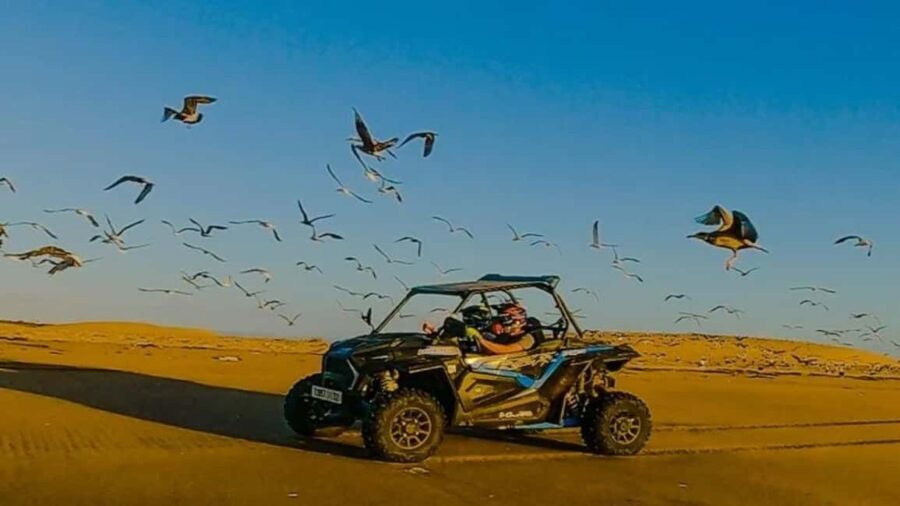 Essaouira: buggy Tour with Tea break - An In-Depth Look at the Essaouira Buggy Tour