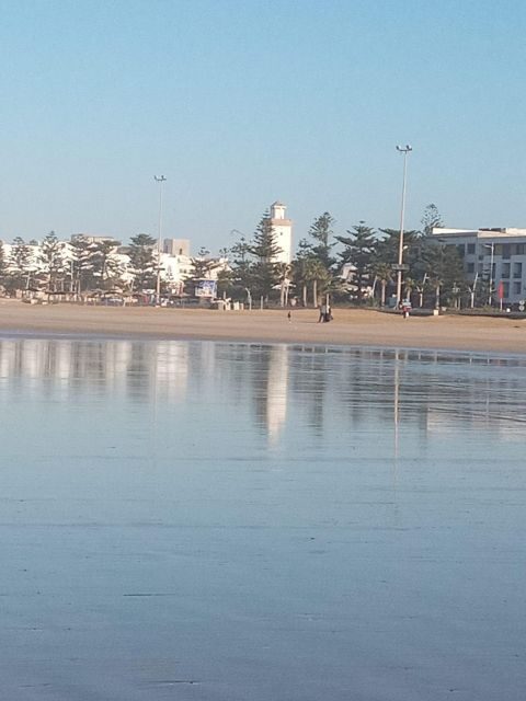 Essaouira City day Trip from Marrakech - Authenticity and Traveler Insights
