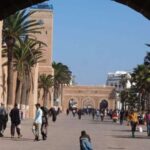 Essaouira Day Trip from Marrakech _ medina, old port - What Travelers Say: Authentic Experiences and Practical Comfort