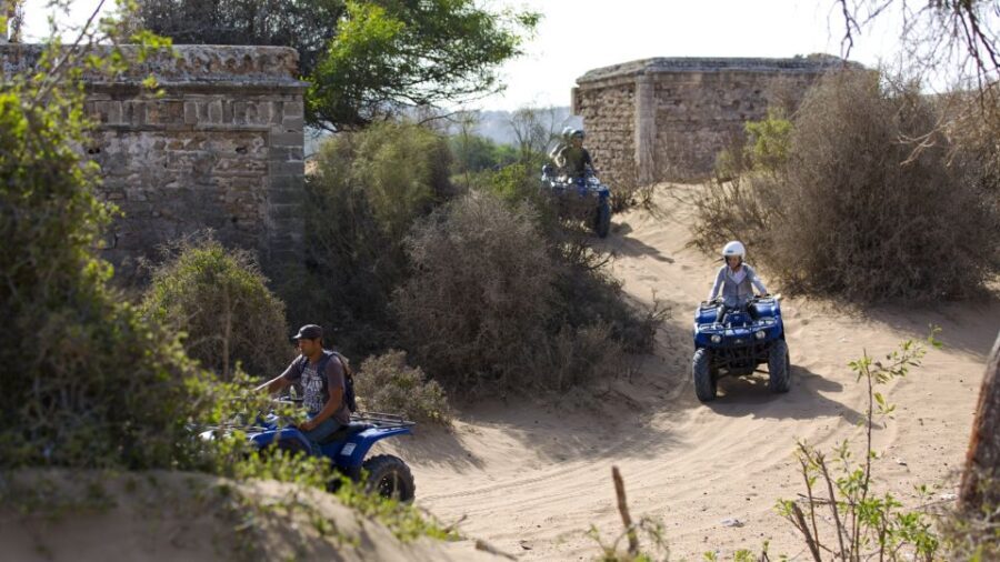 Essaouira: Full-Day Quad Biking Adventure with Lunch - Why You Should Consider This Tour