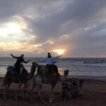 Essaouira: Guided 2h Dromedary Riding with sunset - Practical Details and Tips