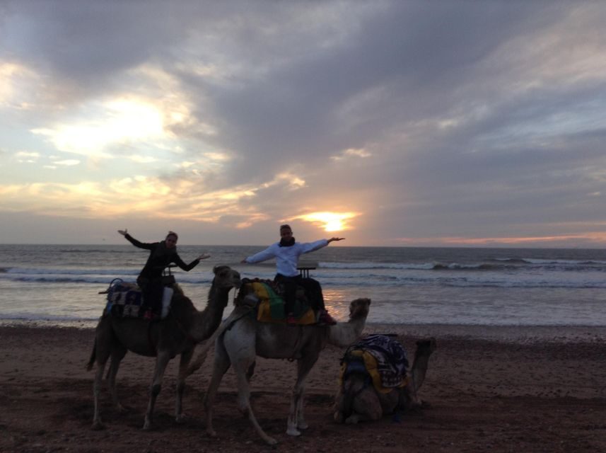 Essaouira: Guided 2h Dromedary Riding with sunset - Practical Details and Tips