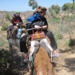 Essaouira: Guided Dromedary Riding Tour - The Guides and Experience Quality