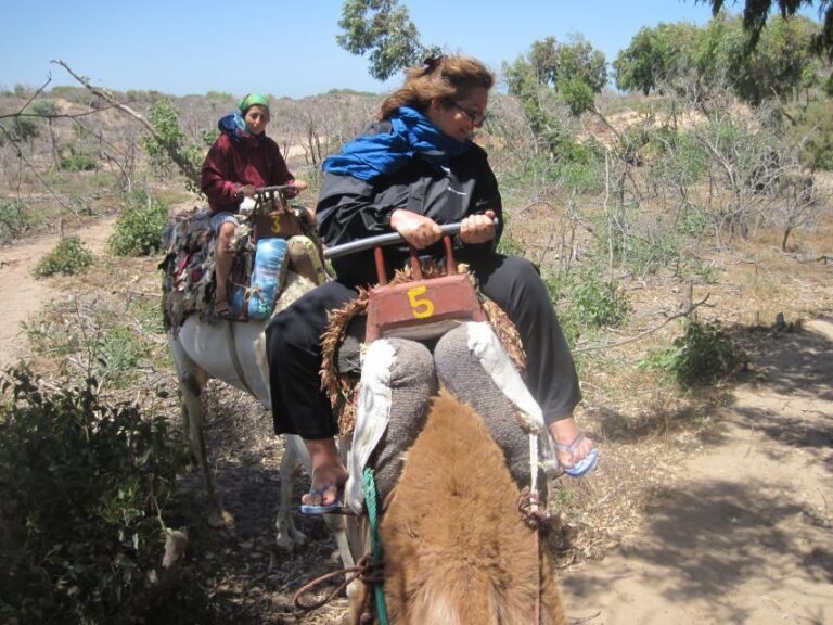Essaouira: Guided Dromedary Riding Tour - The Guides and Experience Quality