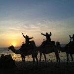 Essaouira: One Hour Dromedary Ride - FAQ