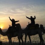 Essaouira: One Hour Dromedary Ride - Authentic and Memorable Aspects