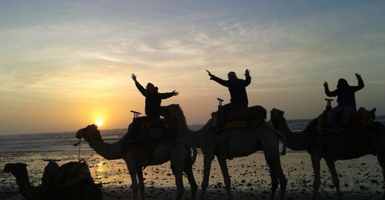 Essaouira: One Hour Dromedary Ride - Authentic and Memorable Aspects