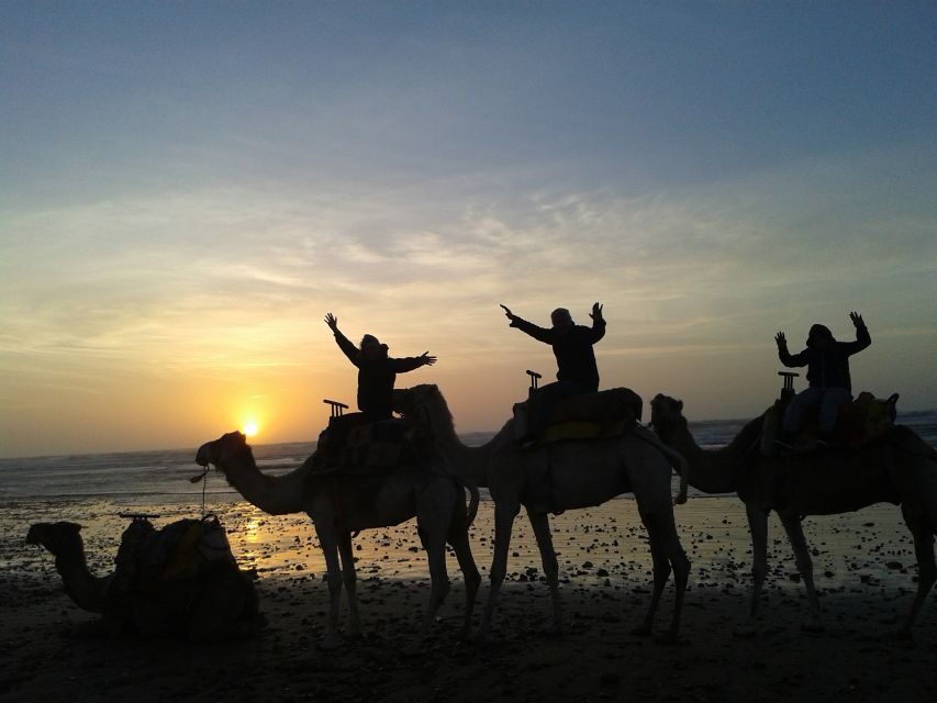 Essaouira: One Hour Dromedary Ride - FAQ