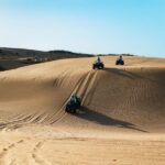 Essaouira Sand Dunes: Half Day Quad Bike Tour - Why This Tour Works for Different Travelers