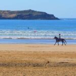 Essaouirra day trip from Marrakech - Transportation & Overall Value