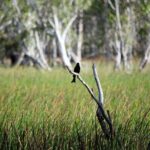 ETHICAL ADVENTURES - 1 Day premium Litchfield tour, Max 10 guests - Who Should Consider This Tour?