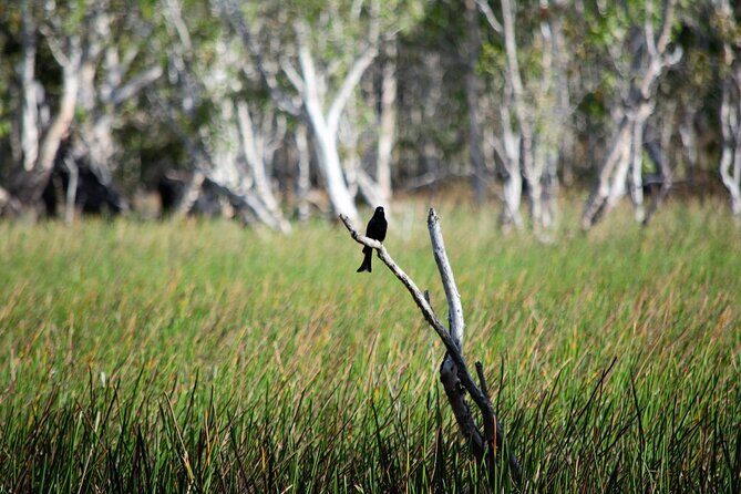 ETHICAL ADVENTURES - 1 Day premium Litchfield tour, Max 10 guests - Who Should Consider This Tour?