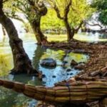Ethiopia: 5-Day Tour Lalibela, Gondar, Bahir dar & Axum - Overall Value and Experience