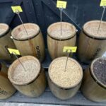 Ethiopia coffee cupping class/Ethiopian food injera making - Who Will Enjoy This Tour?