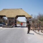 Etosha National Park:Transportation and tours to Etosha park - Who Will Love This Tour?