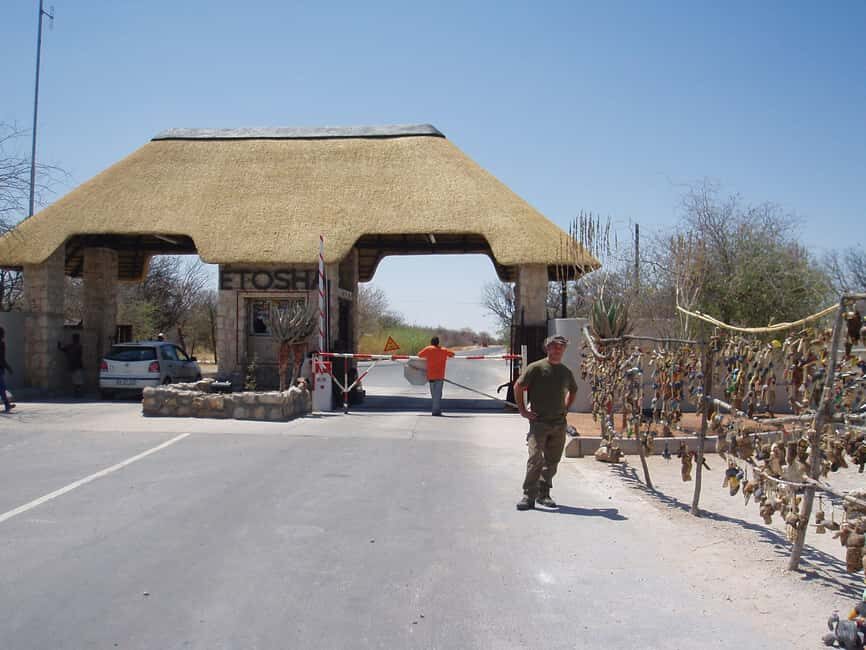 Etosha National Park:Transportation and tours to Etosha park - Who Will Love This Tour?