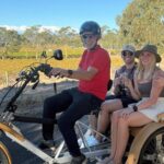 eTukTuk Adventure from Oxenberry Farm in McLaren Vale - Key Points